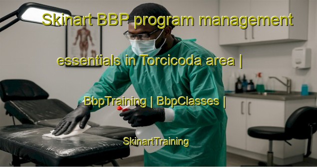 Skinart BBP program management essentials in Torcicoda area | BbpTraining | BbpClasses | SkinartTraining-Italy
